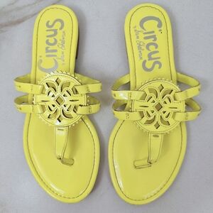 Circus Sam Edelman Canyon Patent Lemon Yellow Flat Thong Sandals Flip Flops, 7